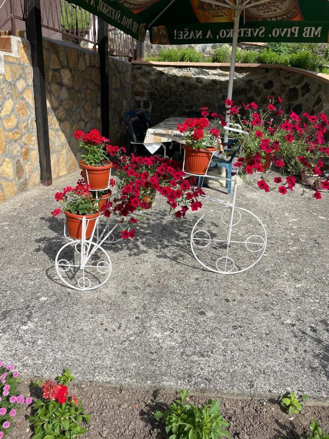 Apartmani Maksimovic Mokra Gora Dış mekan fotoğraf